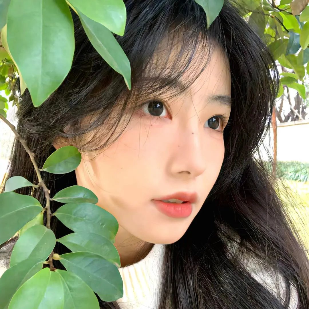 少女情怀总是挛